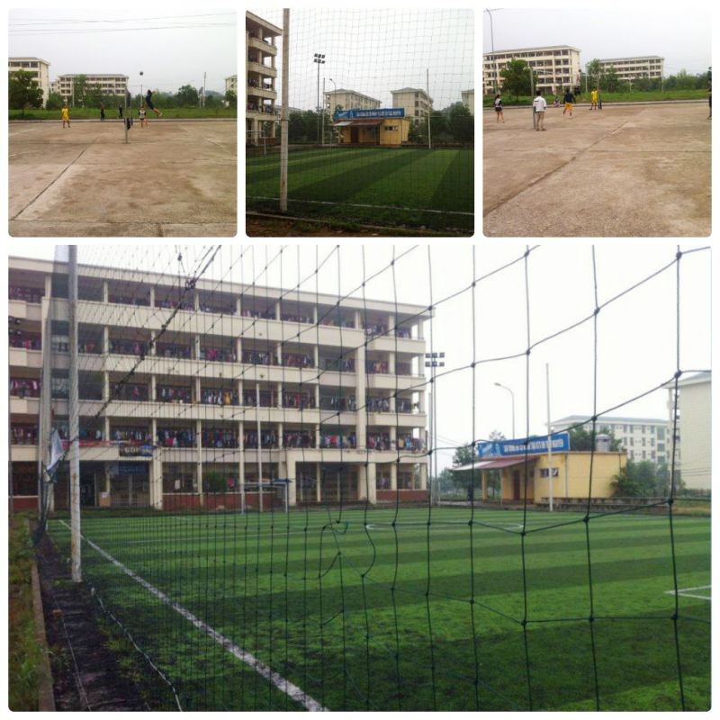 Modern and standard football, volleyball fields for physical training and entertainment of students